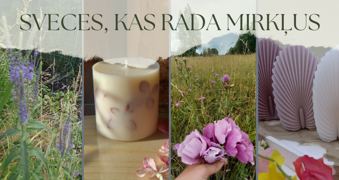 Radi Ridi