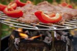 EcoGrill, vienreiz lietojams grils - Attēls 5