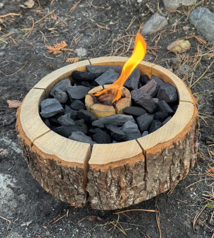 ecogrill vienreizlietojams grils